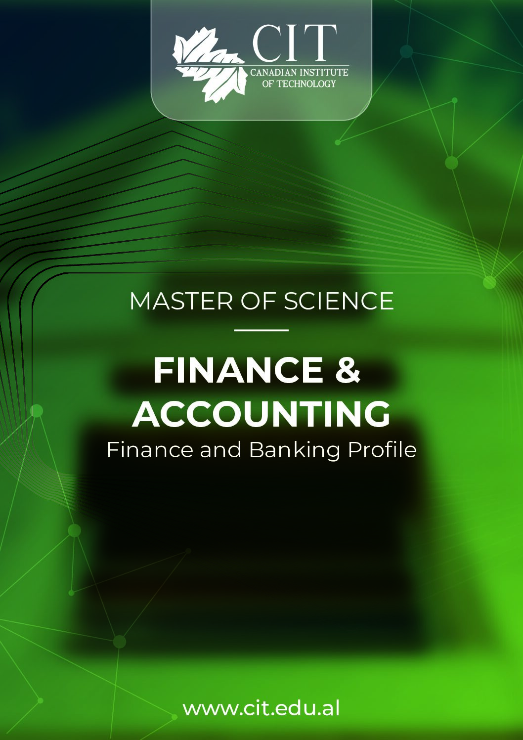 FinanceandAccounting FB MSC pdf 1