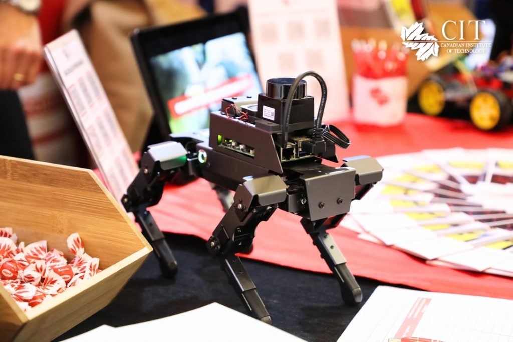Work & Study Fair 2025 | Day 1 Highlights 4 Work & Study Fair 2025 | Day 1 Highlights